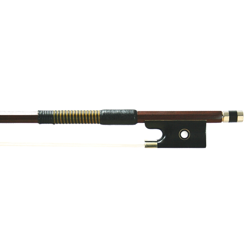 【12月スーパーSALE 15%OFF】 ae00-1227.jpg 弦楽器